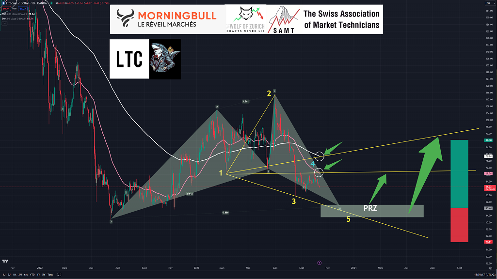 20231012 LTC SHARK + WW